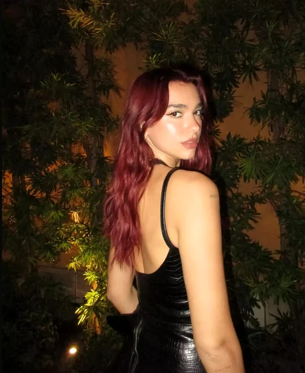 Η Dua Lipa έγινε κόκκινο (Φωτογραφία: Instagram)